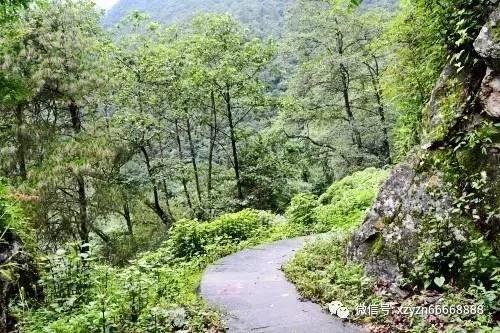 悬案：刹那惊颤